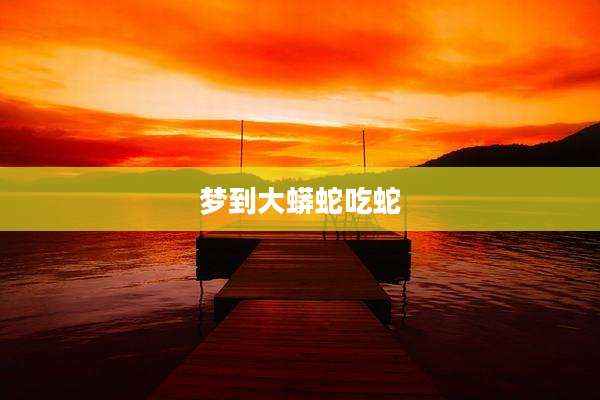 梦到大蟒蛇吃蛇