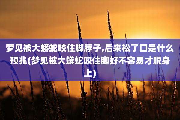 梦见被大蟒蛇咬住脚脖子,后来松了口是什么预兆(梦见被大蟒蛇咬住脚好不容易才脱身上)