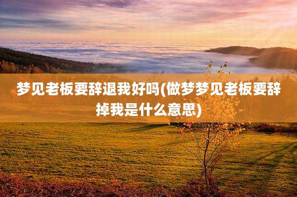 梦见老板要辞退我好吗(做梦梦见老板要辞掉我是什么意思)
