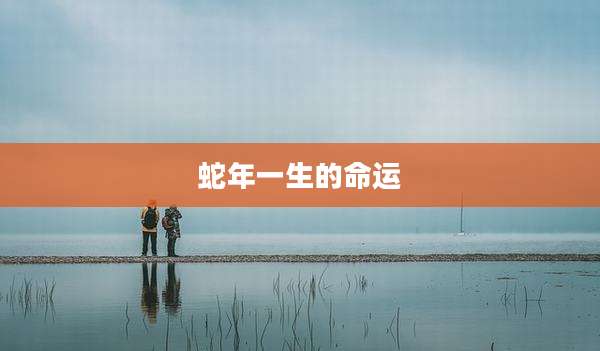 蛇年一生的命运