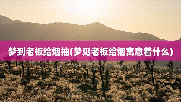 梦到老板给烟抽(梦见老板给烟寓意着什么)