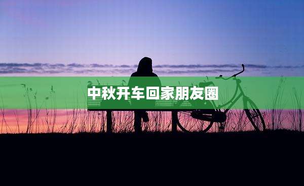 中秋开车回家朋友圈