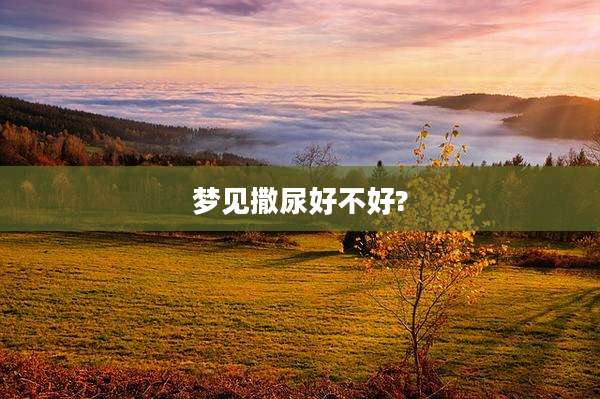 梦见撒尿好不好?