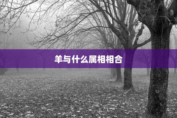 羊与什么属相相合
