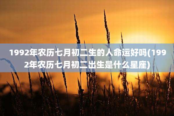 1992年农历七月初二生的人命运好吗(1992年农历七月初二出生是什么星座)