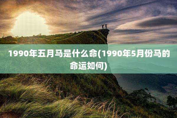 1990年五月马是什么命(1990年5月份马的命运如何)