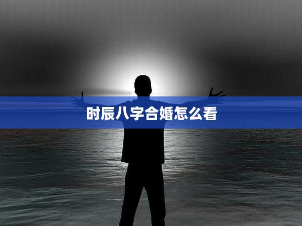 时辰八字合婚怎么看