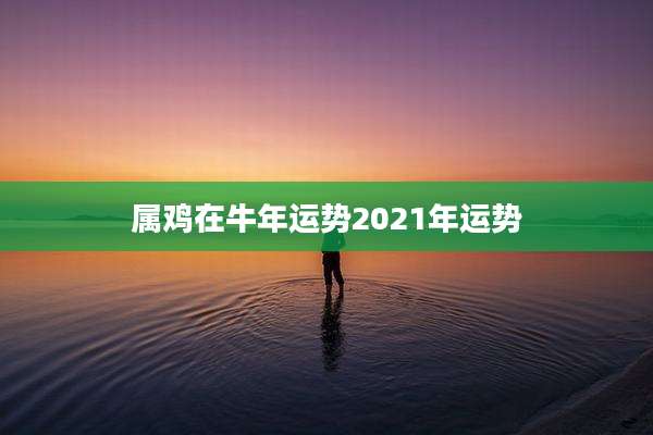 属鸡在牛年运势2021年运势