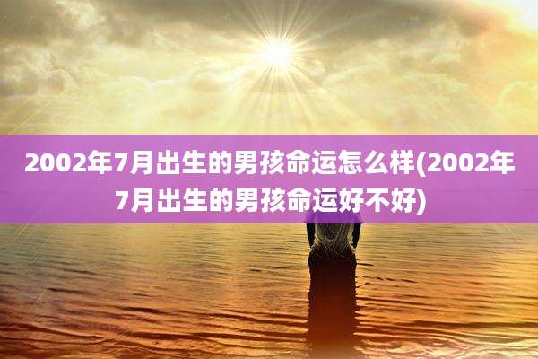 2002年7月出生的男孩命运怎么样(2002年7月出生的男孩命运好不好)