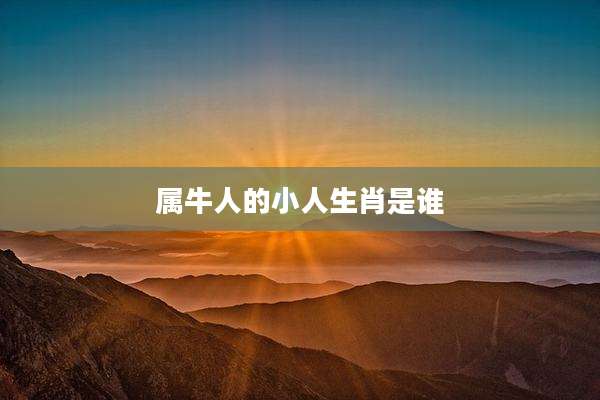 属牛人的小人生肖是谁