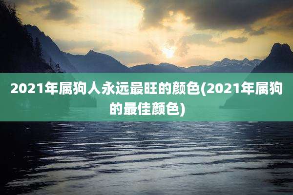 2021年属狗人永远最旺的颜色(2021年属狗的最佳颜色)