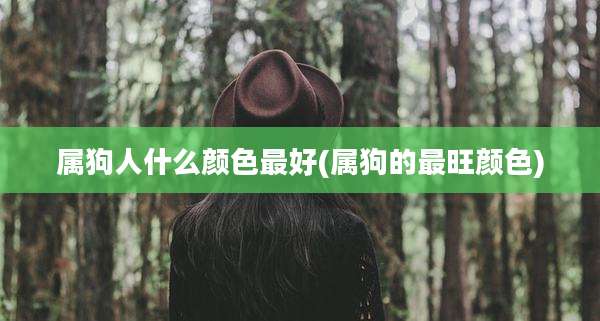 属狗人什么颜色最好(属狗的最旺颜色)