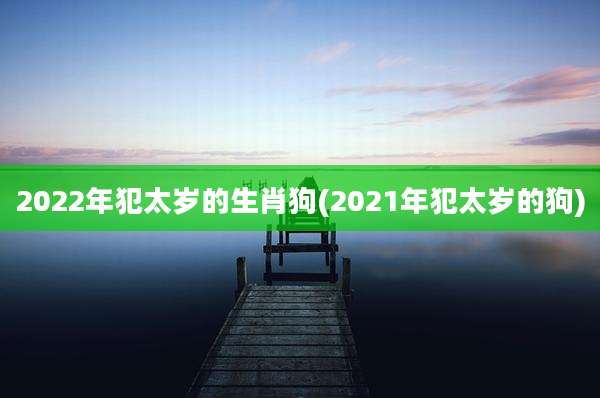 2022年犯太岁的生肖狗(2021年犯太岁的狗)