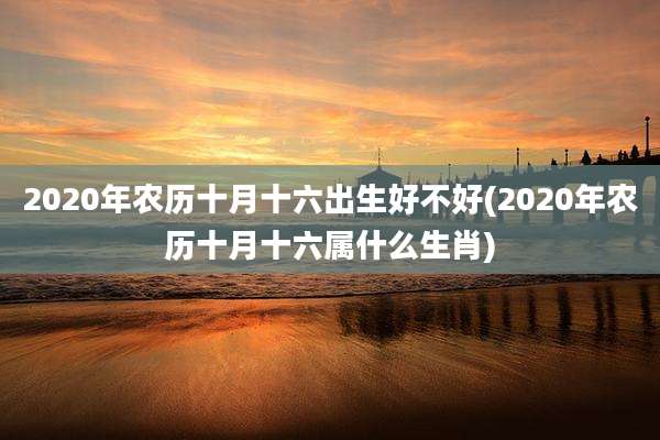 2020年农历十月十六出生好不好(2020年农历十月十六属什么生肖)
