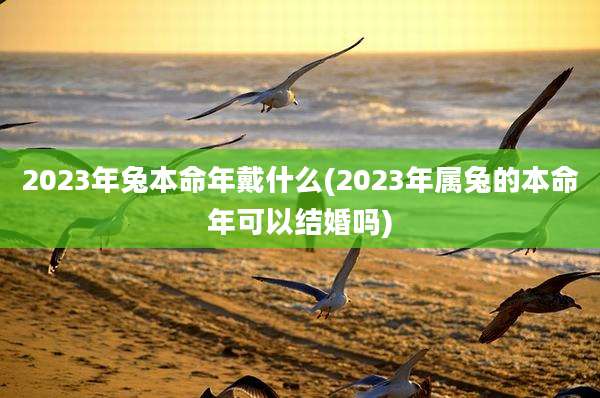 2023年兔本命年戴什么(2023年属兔的本命年可以结婚吗)