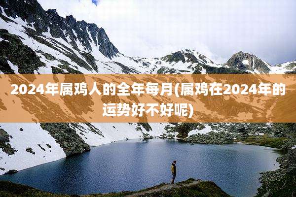 2024年属鸡人的全年每月(属鸡在2024年的运势好不好呢)