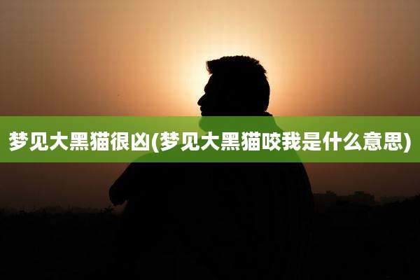 梦见大黑猫很凶(梦见大黑猫咬我是什么意思)