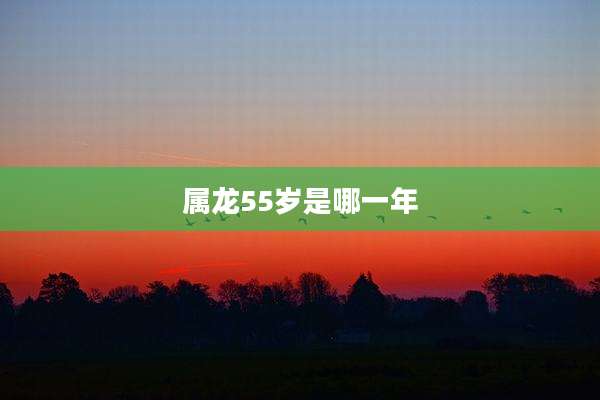 属龙55岁是哪一年