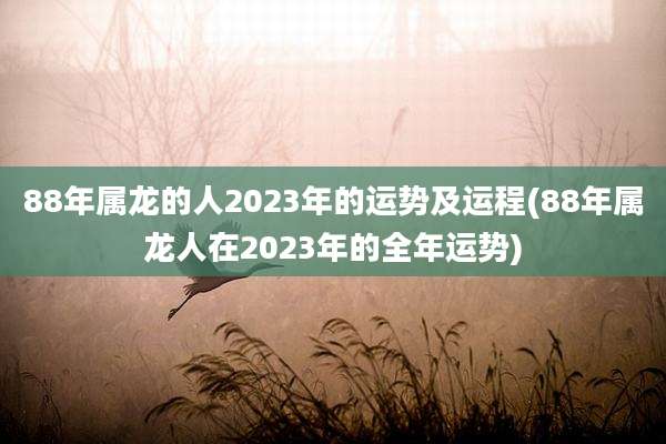 88年属龙的人2023年的运势及运程(88年属龙人在2023年的全年运势)