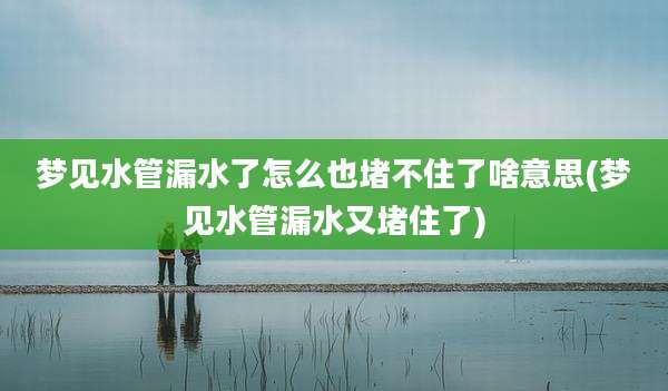梦见水管漏水了怎么也堵不住了啥意思(梦见水管漏水又堵住了)