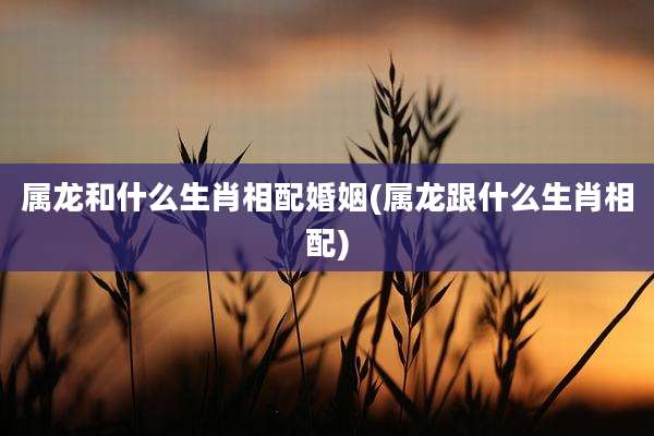 属龙和什么生肖相配婚姻(属龙跟什么生肖相配)