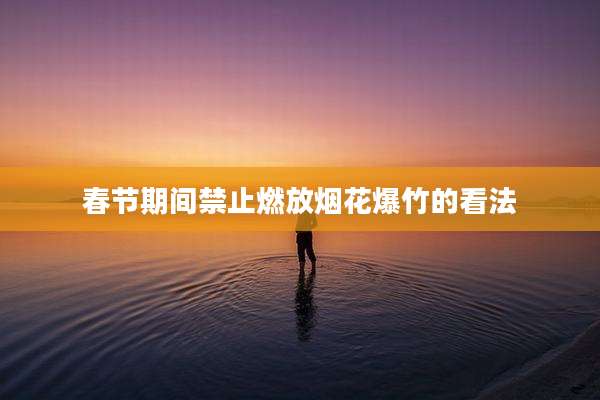 春节期间禁止燃放烟花爆竹的看法