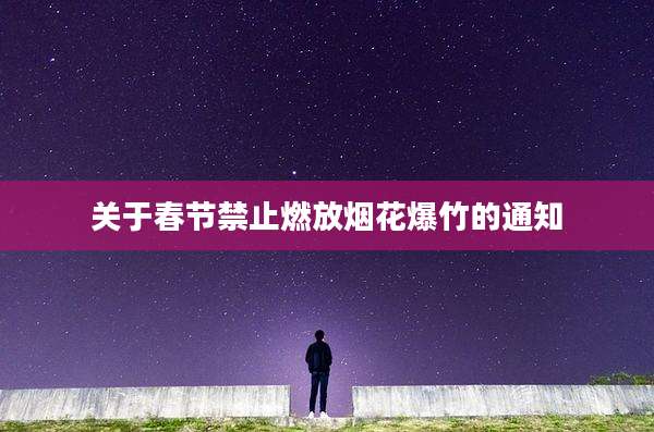 关于春节禁止燃放烟花爆竹的通知