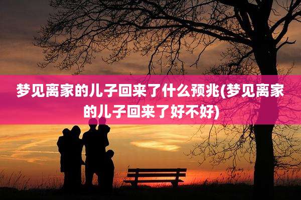 梦见离家的儿子回来了什么预兆(梦见离家的儿子回来了好不好)