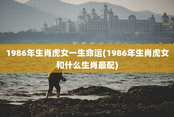1986年生肖虎女一生命运(1986年生肖虎女和什么生肖最配)