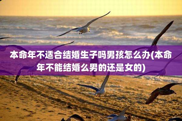 本命年不适合结婚生子吗男孩怎么办(本命年不能结婚么男的还是女的)