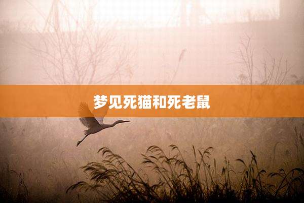 梦见死猫和死老鼠