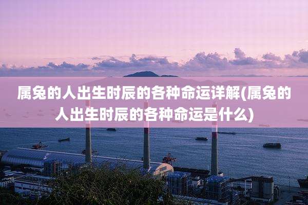 属兔的人出生时辰的各种命运详解(属兔的人出生时辰的各种命运是什么)
