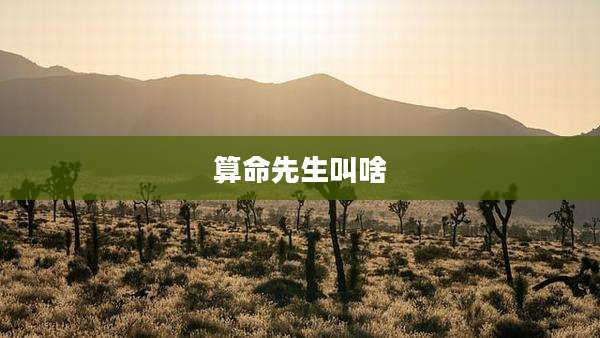 算命先生叫啥