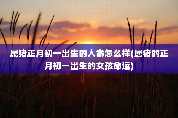 属猪正月初一出生的人命怎么样(属猪的正月初一出生的女孩命运)