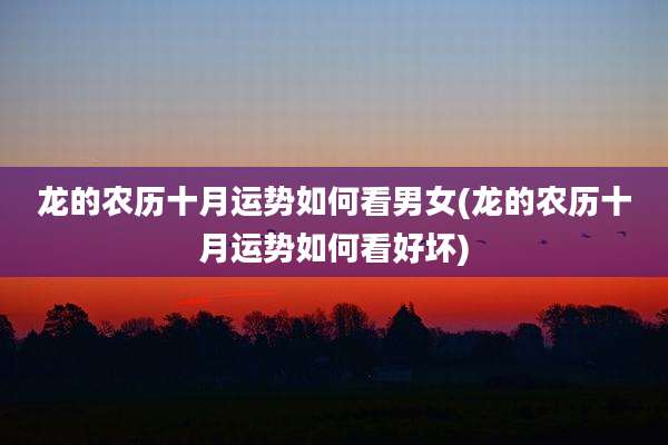 龙的农历十月运势如何看男女(龙的农历十月运势如何看好坏)