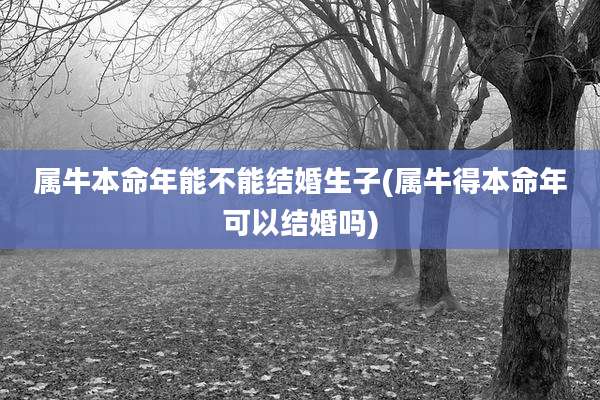 属牛本命年能不能结婚生子(属牛得本命年可以结婚吗)