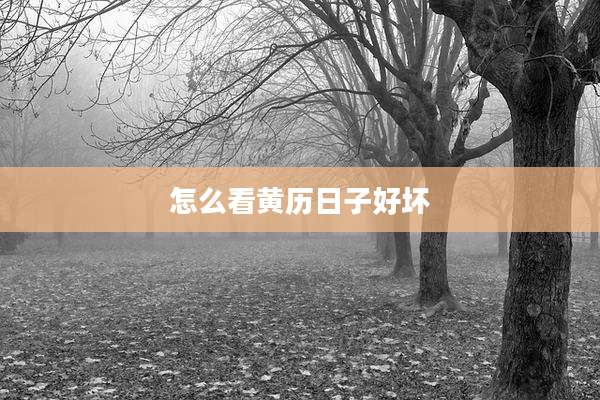 怎么看黄历日子好坏