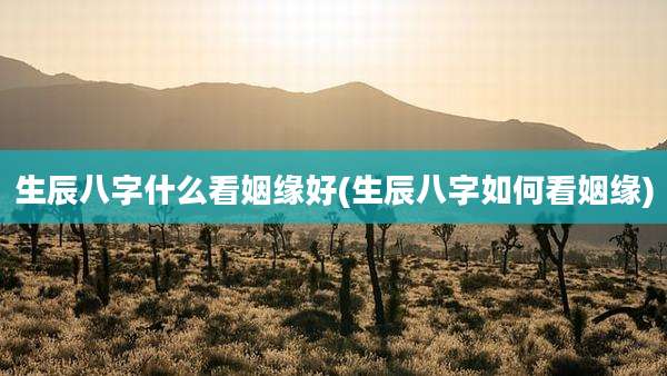 生辰八字什么看姻缘好(生辰八字如何看姻缘)