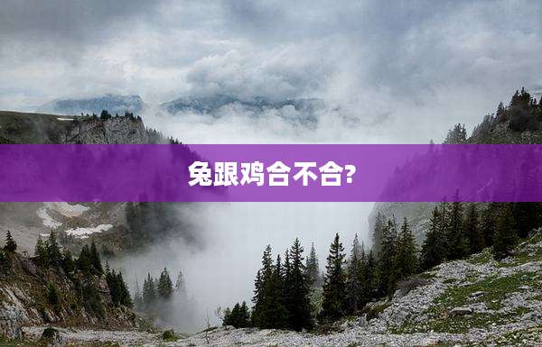 兔跟鸡合不合?