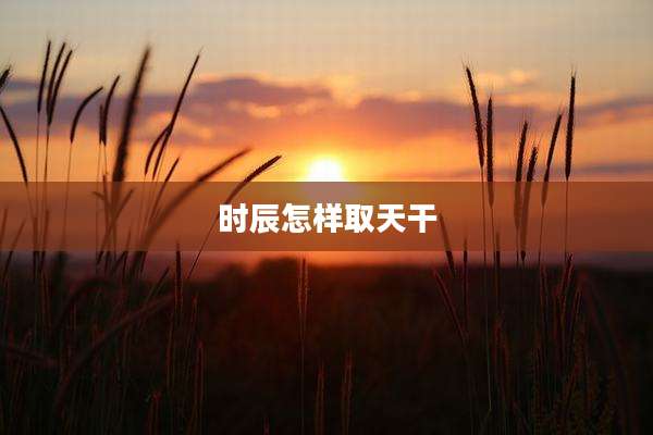 时辰怎样取天干