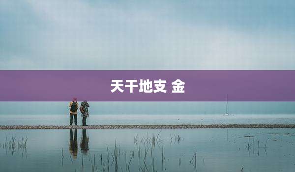 天干地支 金