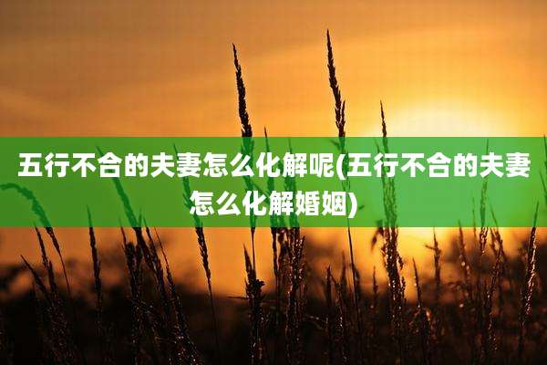 五行不合的夫妻怎么化解呢(五行不合的夫妻怎么化解婚姻)