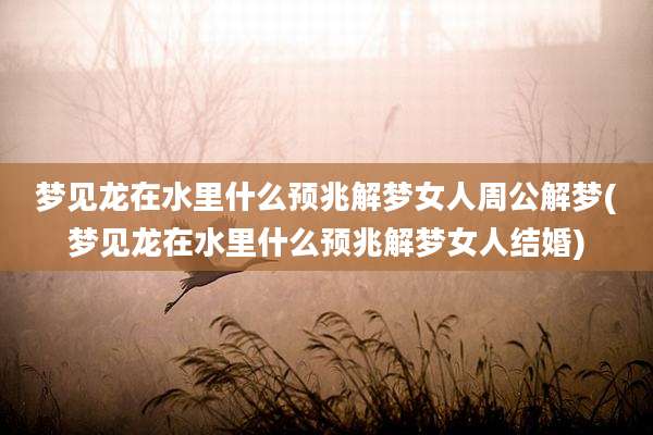 梦见龙在水里什么预兆解梦女人周公解梦(梦见龙在水里什么预兆解梦女人结婚)