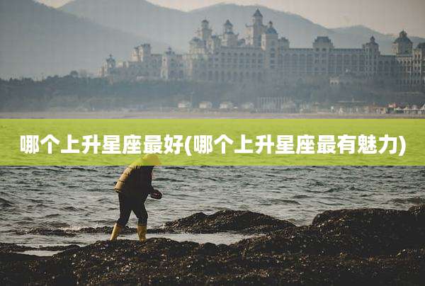 哪个上升星座最好(哪个上升星座最有魅力)