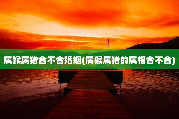 属猴属猪合不合婚姻(属猴属猪的属相合不合)