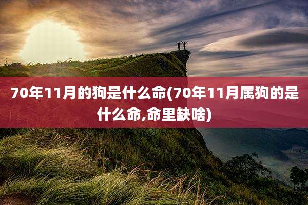 70年11月的狗是什么命(70年11月属狗的是什么命,命里缺啥)