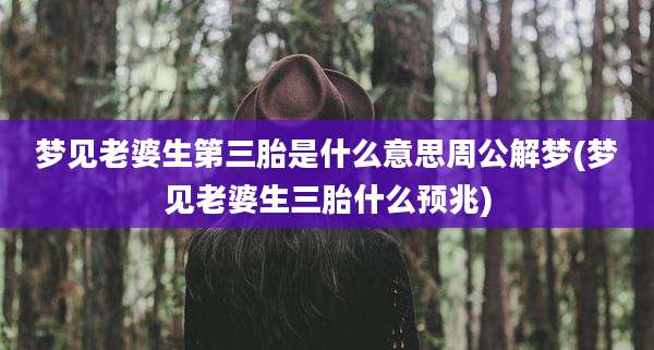 梦见老婆生第三胎是什么意思周公解梦(梦见老婆生三胎什么预兆)