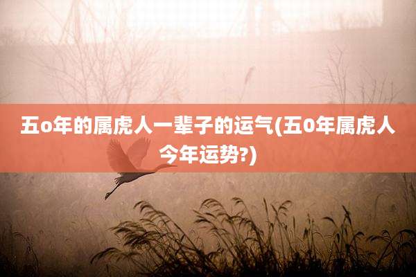 五o年的属虎人一辈子的运气(五0年属虎人今年运势?)