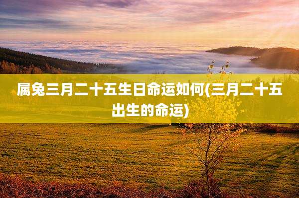 属兔三月二十五生日命运如何(三月二十五出生的命运)