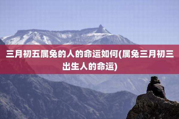 三月初五属兔的人的命运如何(属兔三月初三出生人的命运)